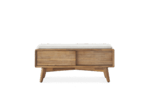 Seb 2-in-1 TV Stand & Bench 1